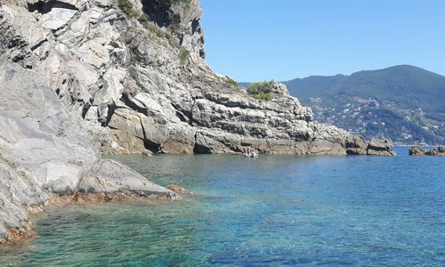 Set Sail Tours