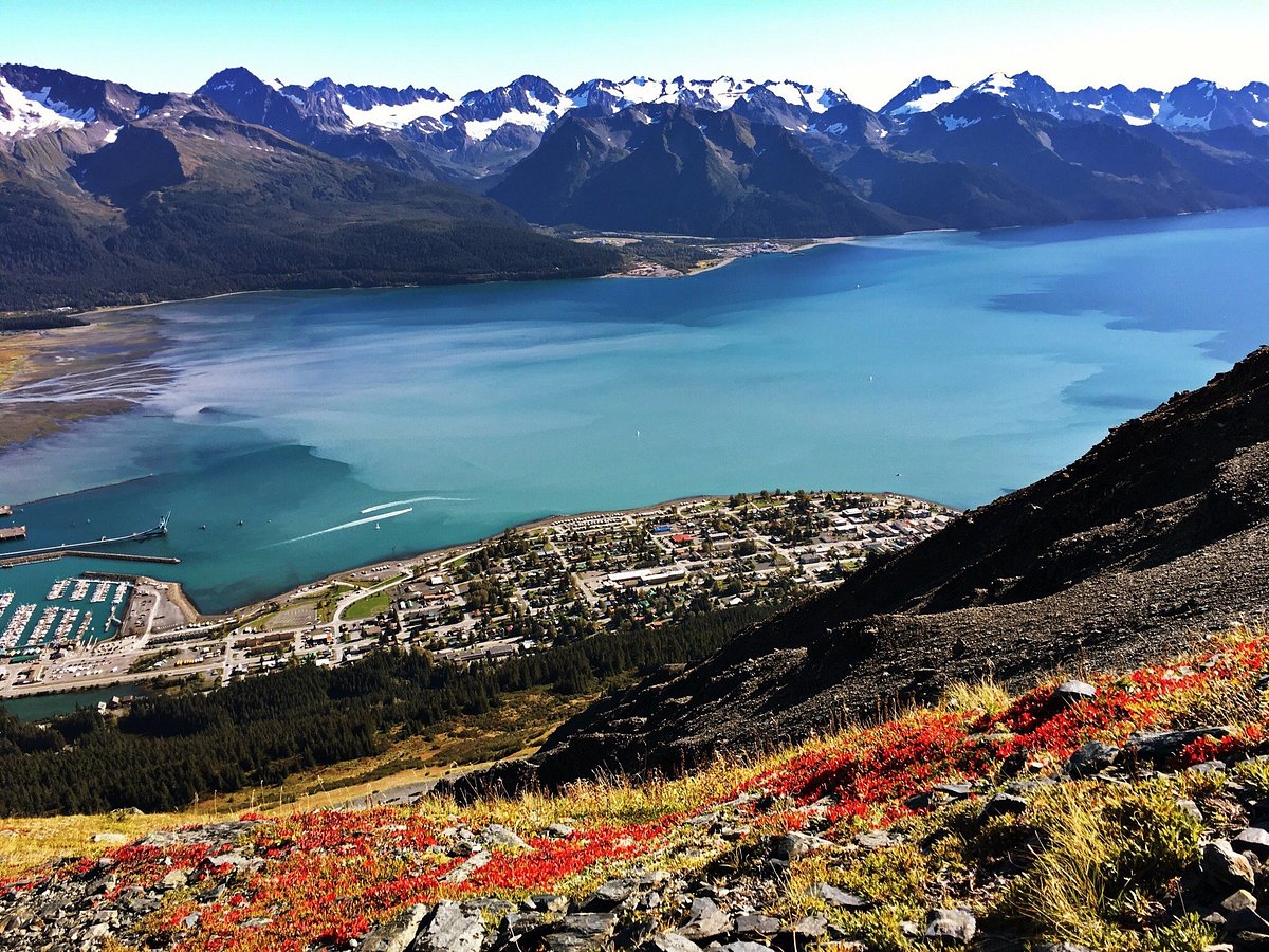 Bleak landscape: Runners in the Midnight Sun Marathon on Baffin Island must  cover a gruelling 26-mile gravel course that rises 3,000 feet from start to  finish – All Items – Digital Archive 