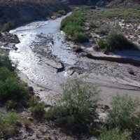 The Virgin River Canyon Recreation Area - All You Need to Know BEFORE ...