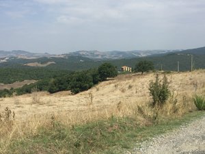 Viaggiatori