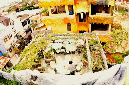 Крейзи Хаус (Сумасшедший дом) в Далате, Вьетнам: фото, видео