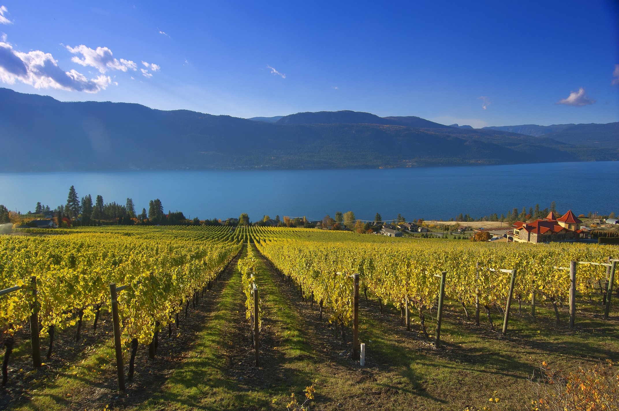 Okanagan wine cheap tours