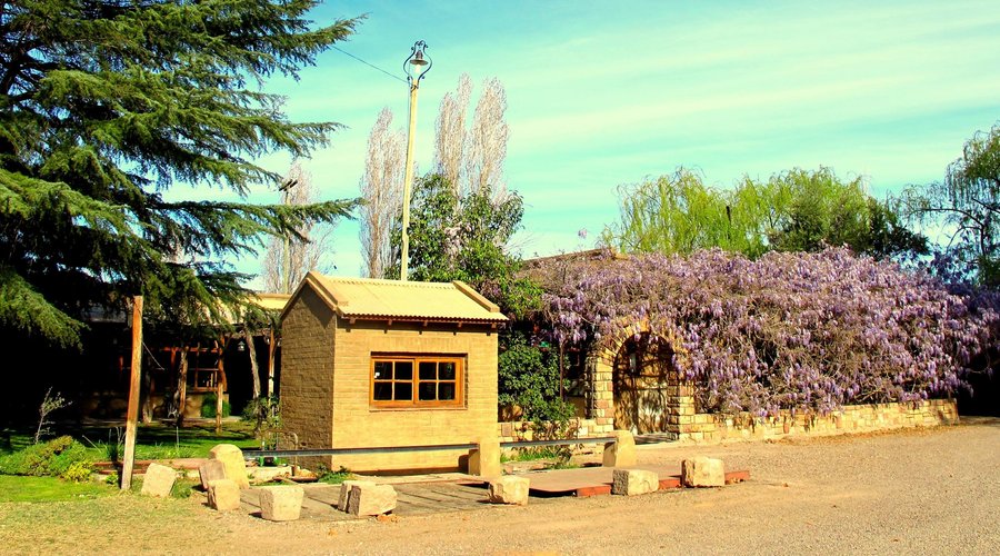Spring time in AMP Cava