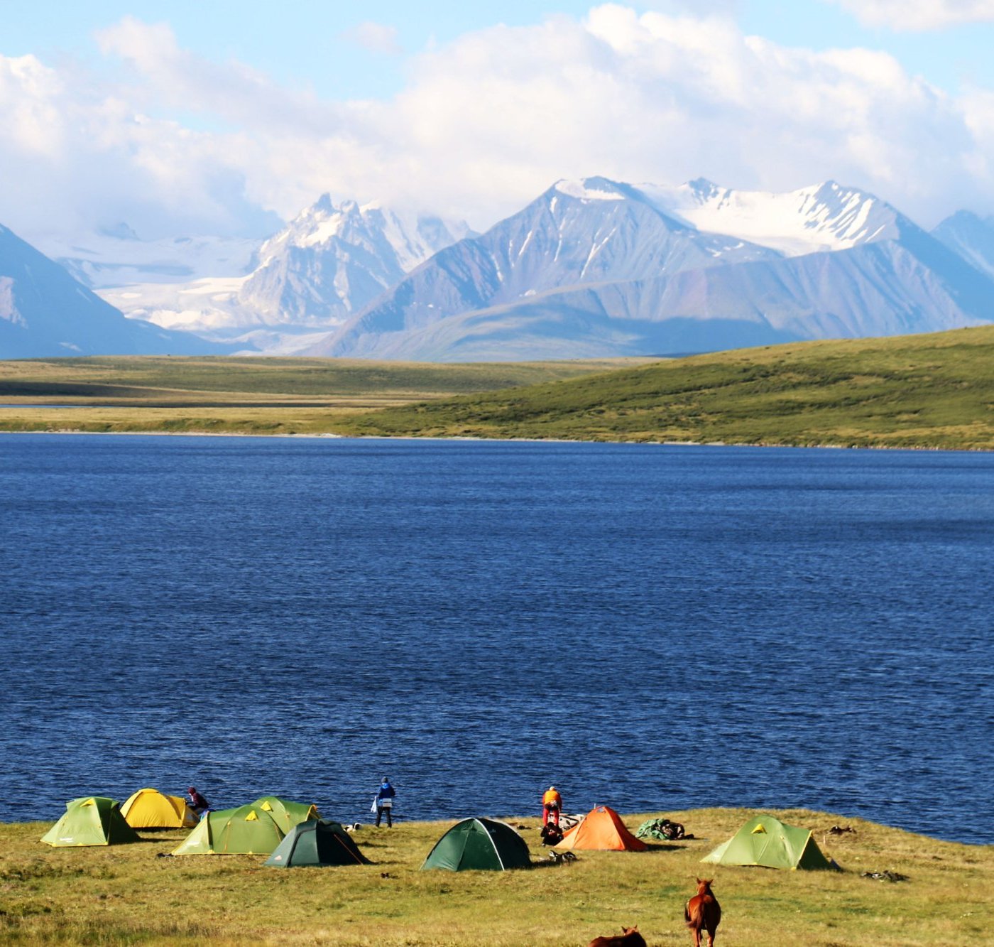 Кош-Агач 2024: все самое лучшее для туристов - Tripadvisor