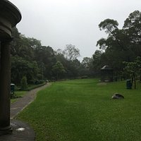 A quiet garden area
