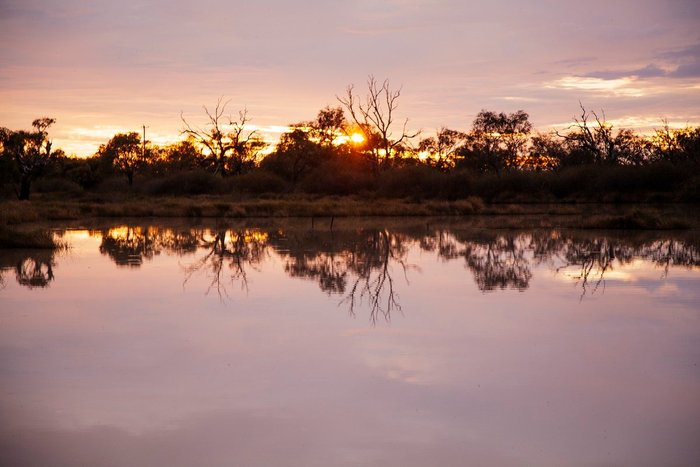 Birdsville Tourist Park Kitchenettes: Pictures & Reviews - Tripadvisor