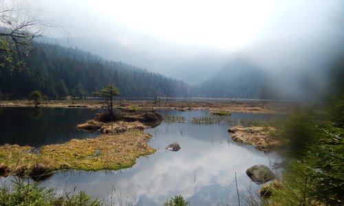 Parc national de la Forêt bavaroise (photo par Isabelle Auer)