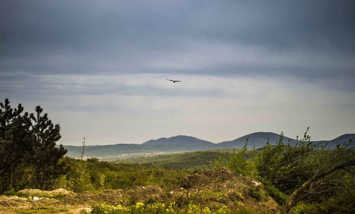 Novorossiysk TV Tower, Новороссийск: лучшие советы перед посещением -  Tripadvisor