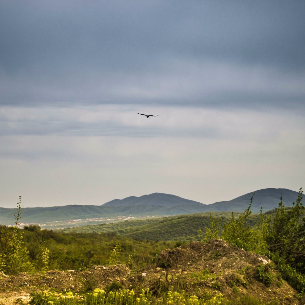 Novorossiysk TV Tower, Новороссийск: лучшие советы перед посещением -  Tripadvisor