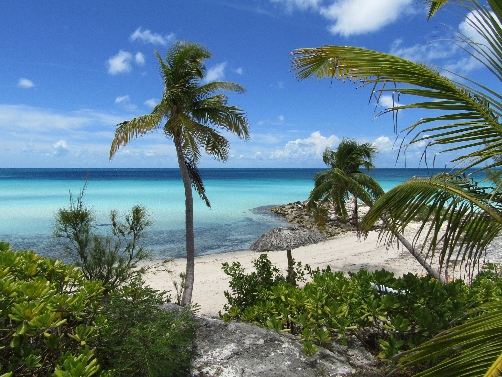 Eleuthera 2023: Best Places To Visit - Tripadvisor