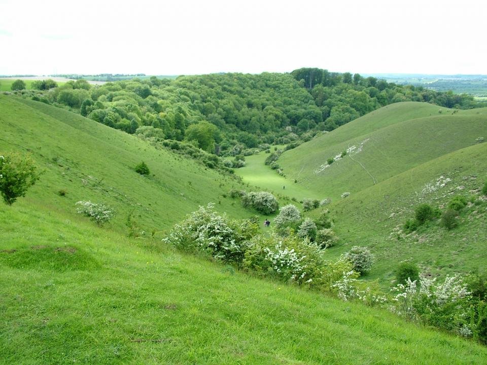 BARTON HILLS NATIONAL NATURE RESERVE BEDFORSHIRE INGLATERRA