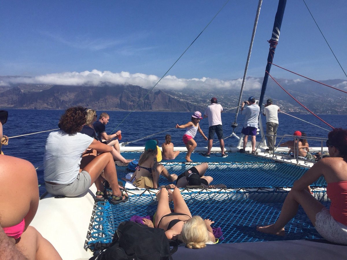 seaborn catamaran office at funchal marina