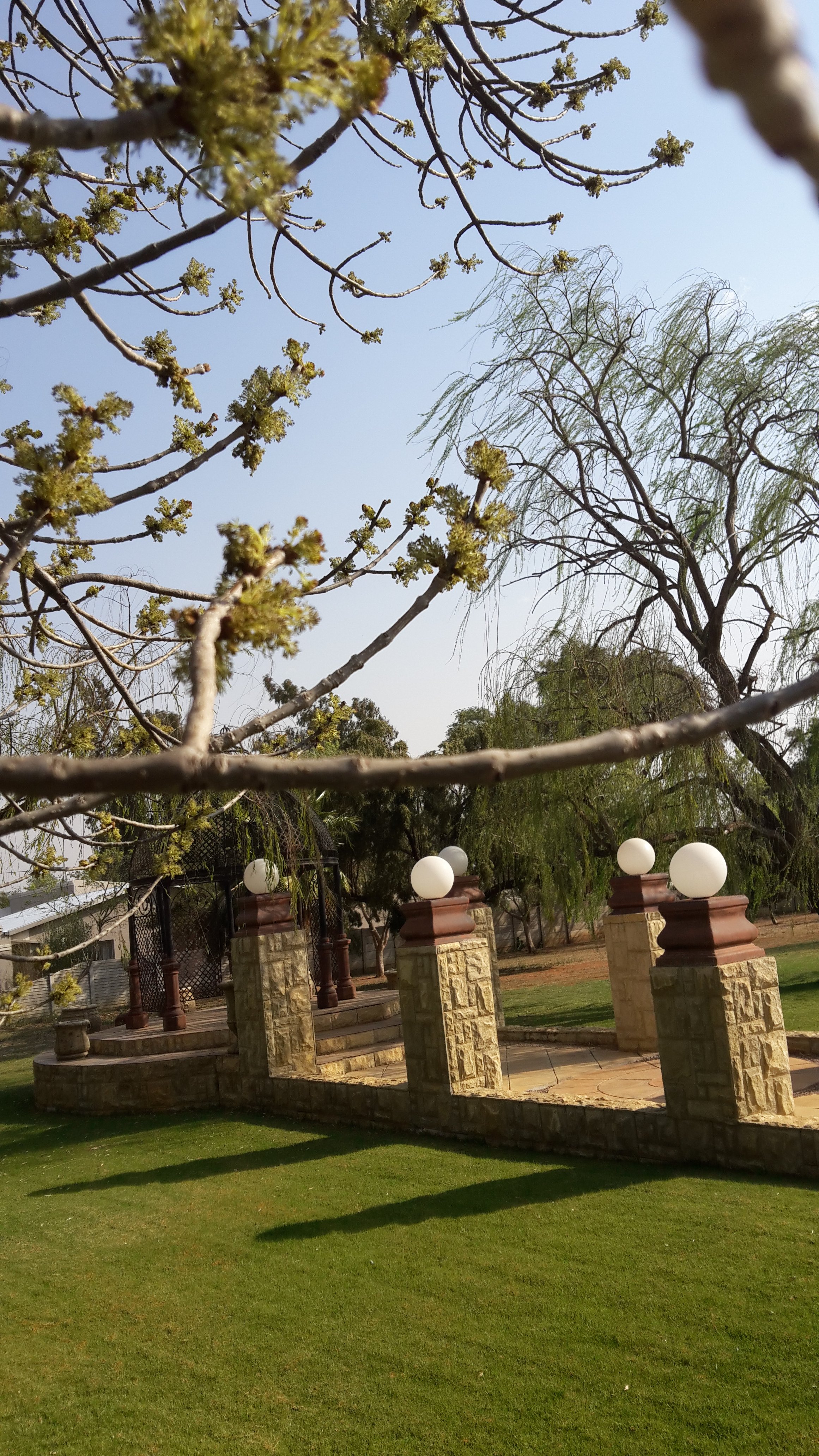 Hotel photo 10 of The Willow Tree Guest House.