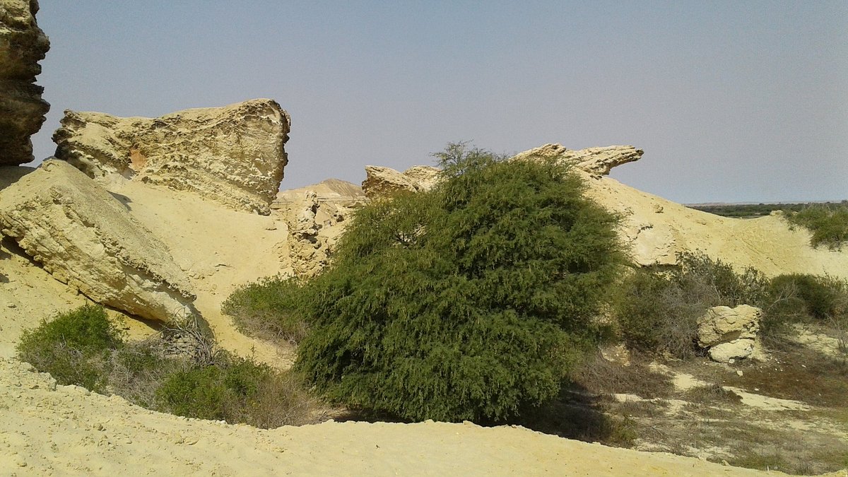 ANGOLA: The coast of Angola (Tômbua, Namibe, Praia do Soba and