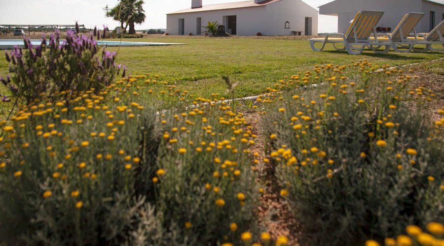 O Monte da Azarujinha na primavera