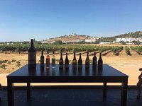 Tiago Cabaco Winery - All You Need to Know BEFORE You Go (with Photos) | Weinpakete