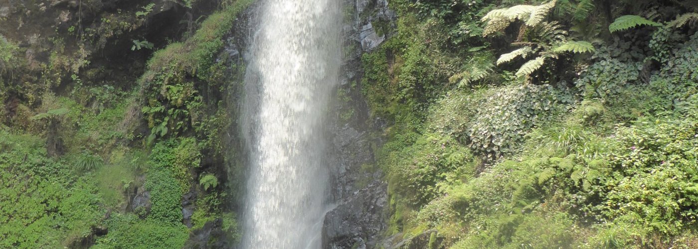 The 'Waterfall Walk"