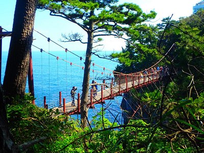 伊東 旅行 観光ガイド 21年 トリップアドバイザー