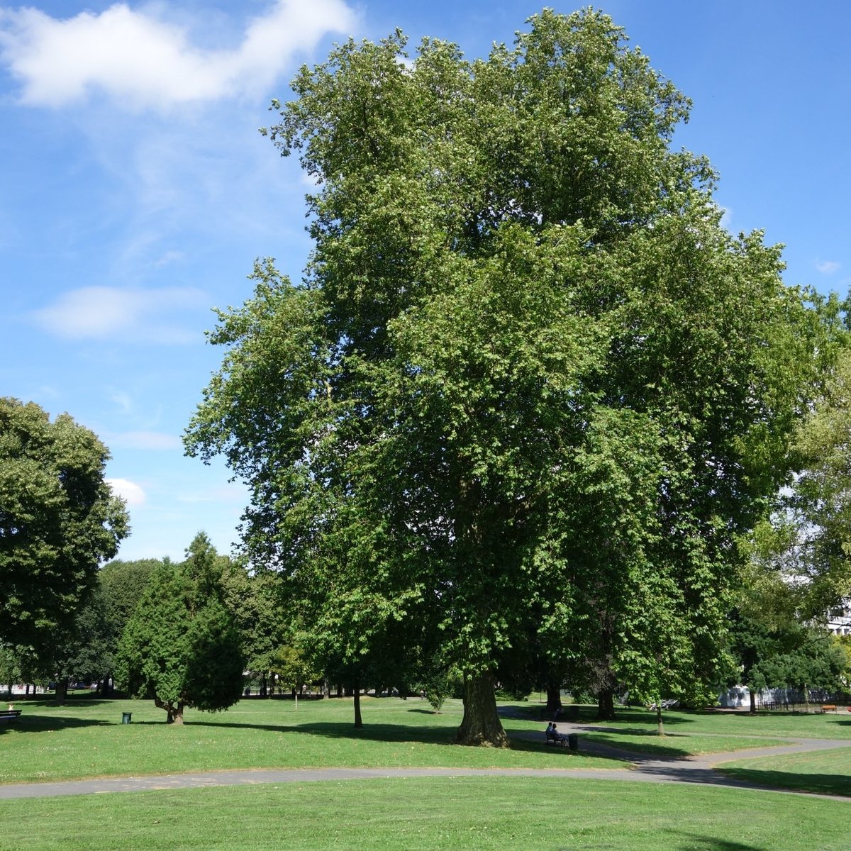 JARDIN DES ALÉES (2024) All You Need to Know BEFORE You Go (with Photos)