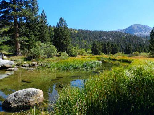 ROCK CREEK LODGE - Resort Reviews (Mammoth Lakes, CA)