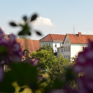 Ausblick