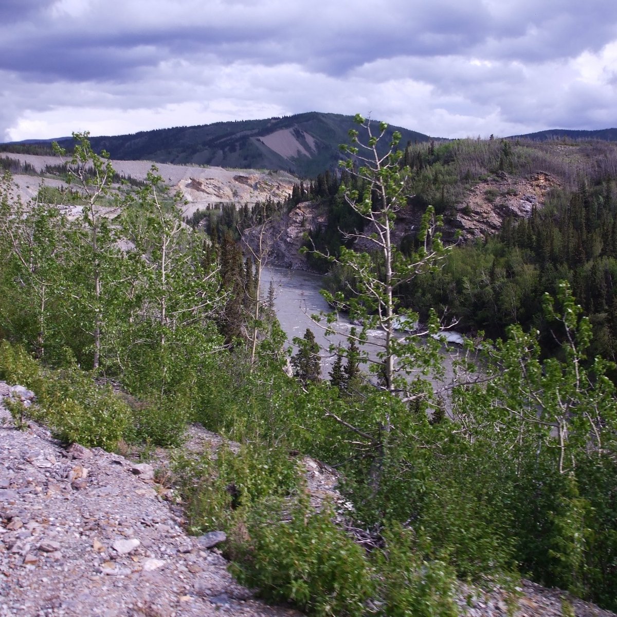 Nenana River - All You Need to Know BEFORE You Go (2024)