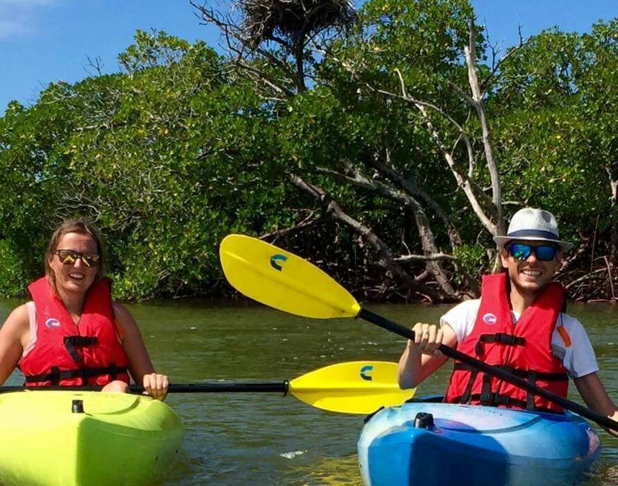 Paradisecoastkayaktours - All You Need To Know Before You Go (2024)