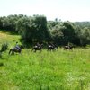 Things To Do in Equestrian Trails, Restaurants in Equestrian Trails