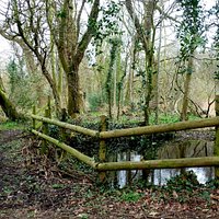 Pendeford Mill