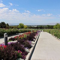 Gardens in the front