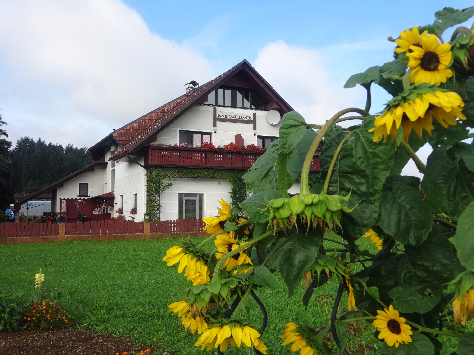 PRENOCISCA VALJAVEC - Prices & B&B Reviews (Kranj, Slovenia)