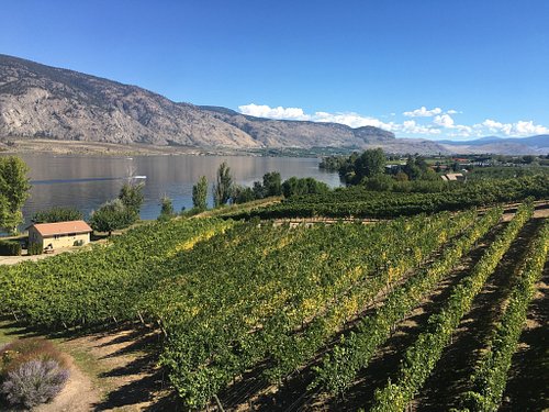 winery tours osoyoos bc