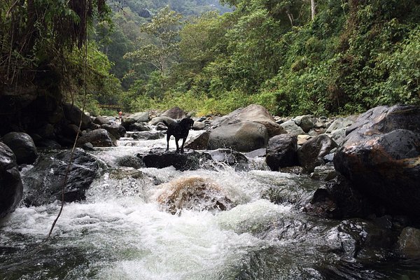 Cali, Colombia 2024: All You Need to Know Before You Go - Tripadvisor