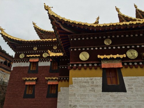 Gansu namei18 review images