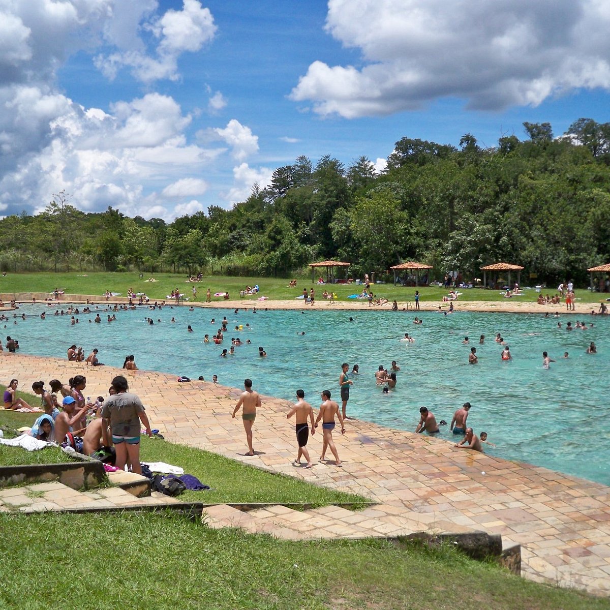 Parque nacional de Brasília (Clube Água Mineral) -- Brasília DF 