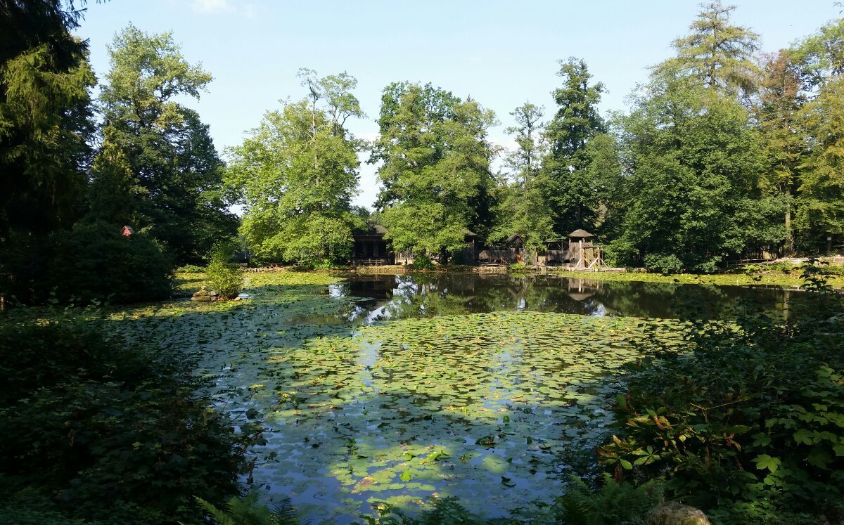 35+ Michelstadt Englischer Garten, Der englischer garten ist eine