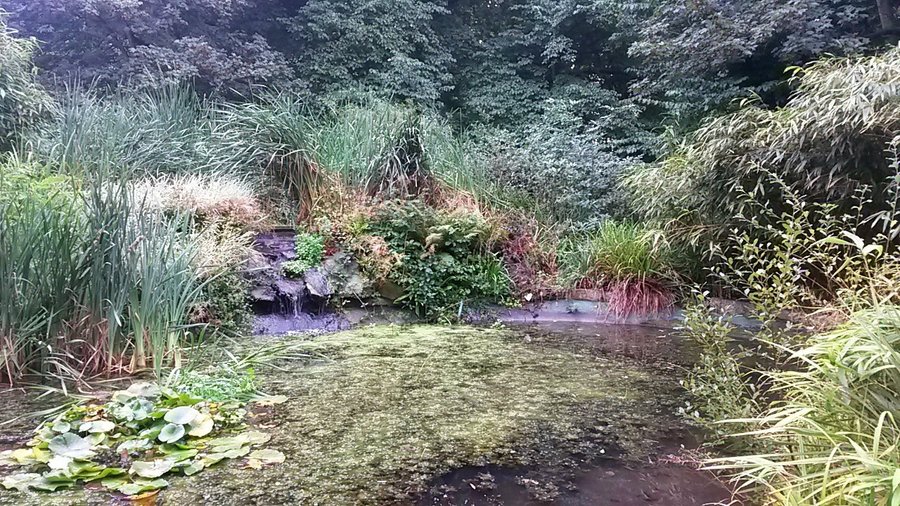 The pond at St Ann's Well Gardens
