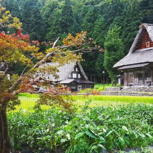 21年 富山県で絶対外さないおすすめ観光スポットトップ10 定番から穴場まで トリップアドバイザー