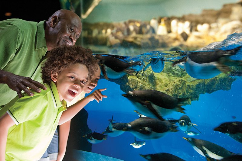 2025年 テキサス シーワールド遊園地 - 出発前に知っておくべきことすべて - トリップアドバイザー