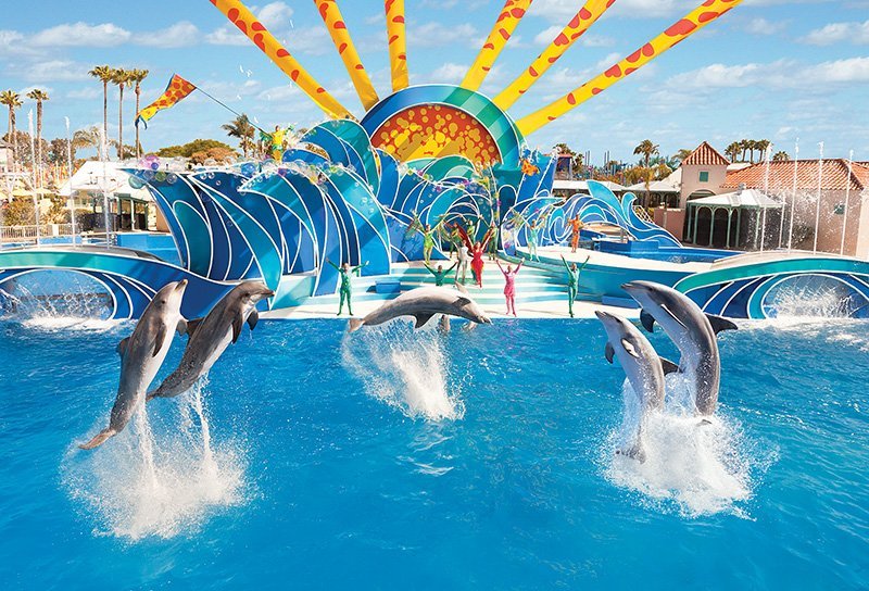 SeaWorld San Diego ATUALIZADO 2023 O que saber antes de ir Sobre o