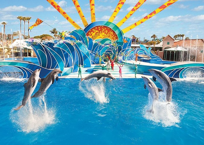 SeaWorld (San Diego) - All You Need to Know BEFORE You Go