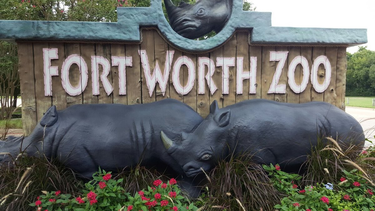 Fort Worth Zoo - All You Need to Know BEFORE You Go (2024)