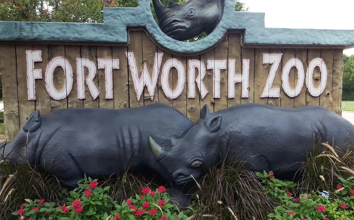 Fort Worth Zoo 2022 Qué saber antes de ir Lo más comentado por la