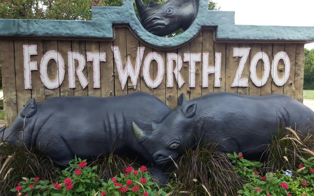 Fort Worth Zoo - All You Need to Know BEFORE You Go (2024)