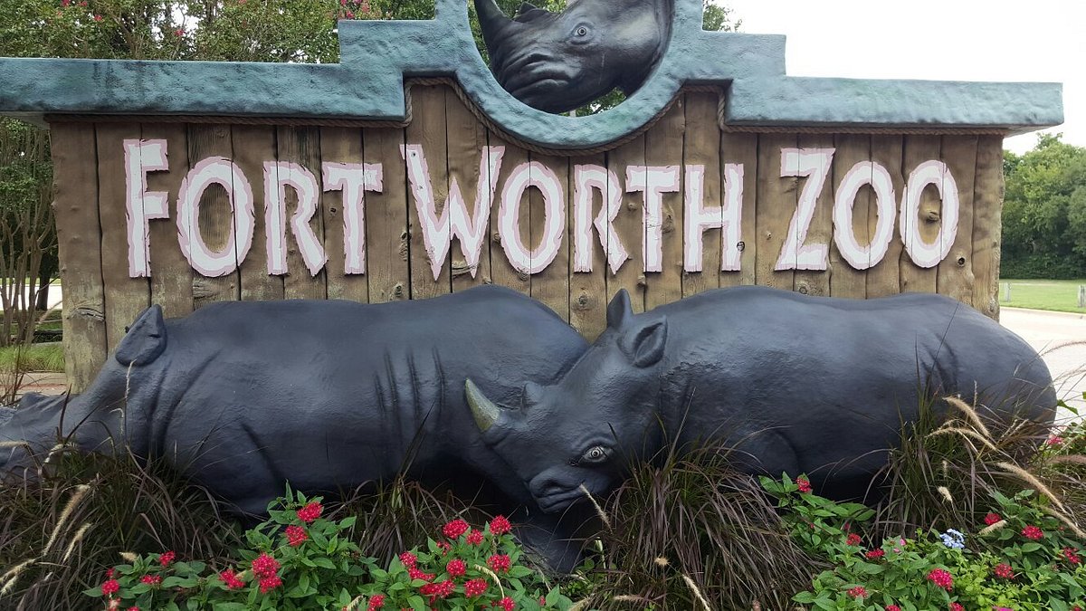 Fort Worth Zoo - All You Need to Know BEFORE You Go (with Photos)