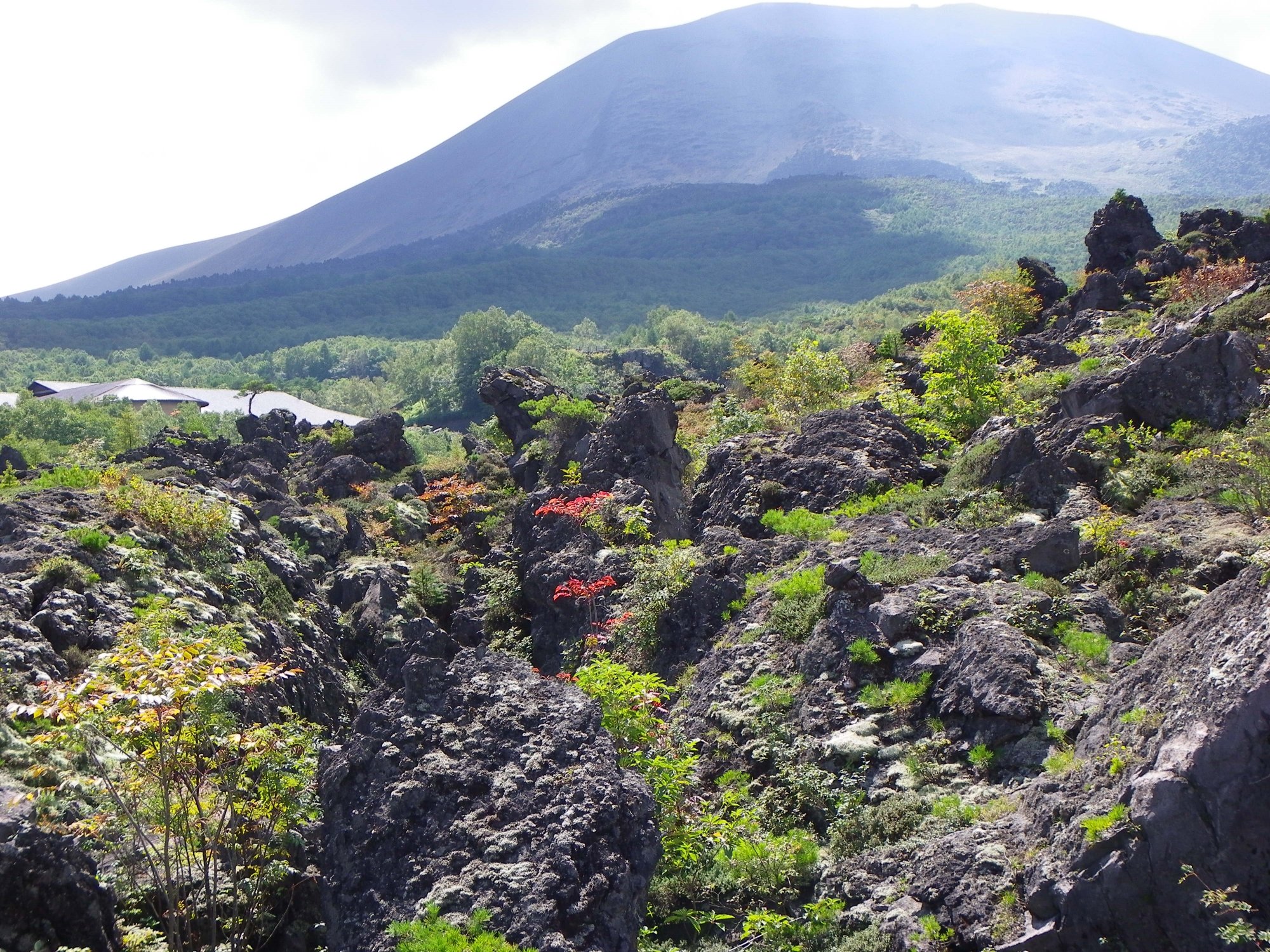 Onioshidashi Volcanic Park (嬬恋村) - 旅游景点点评- Tripadvisor