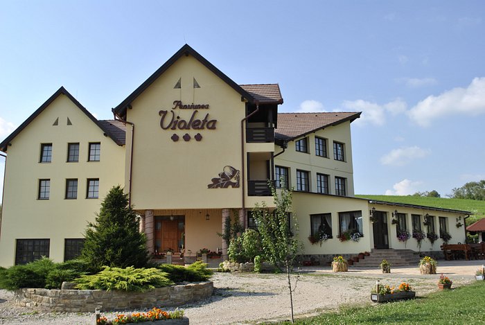 PENSIUNEA VIOLETA - Guest house Reviews (Saschiz, Romania)