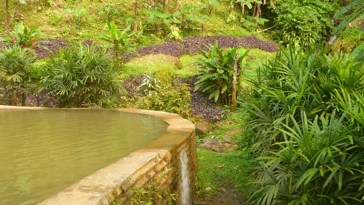 Ti Kwen Glo Cho Hot Springs Dominica All You Need To Know Before You Go