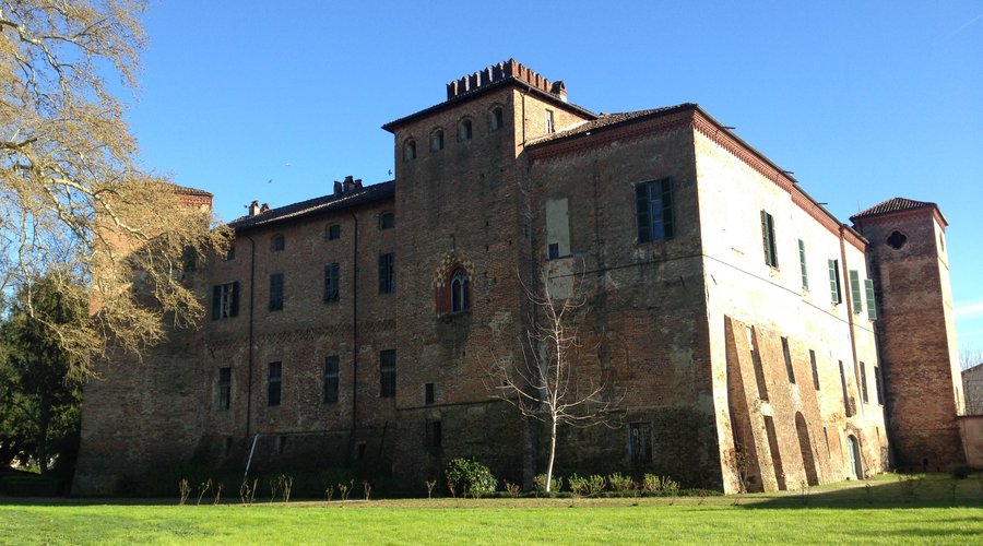 view from the garden