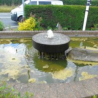 Stagnant Pool at entrance